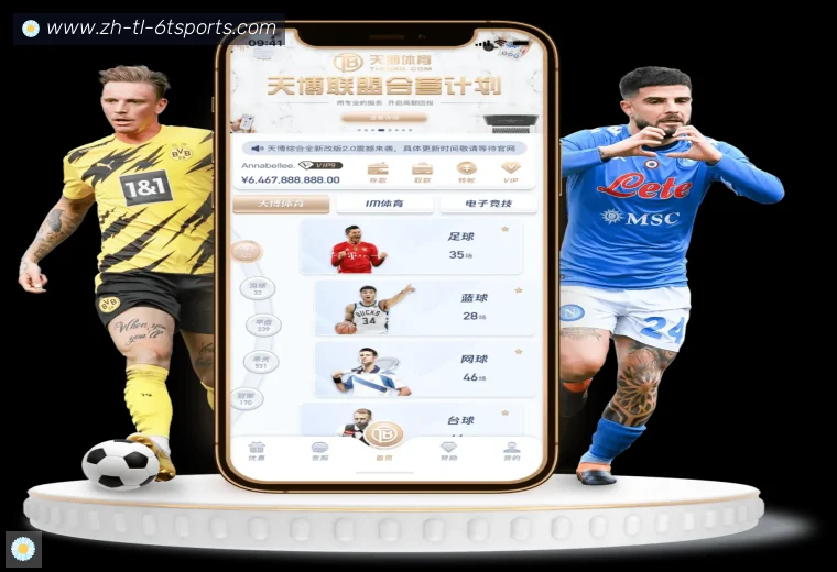 6T体育真人APP